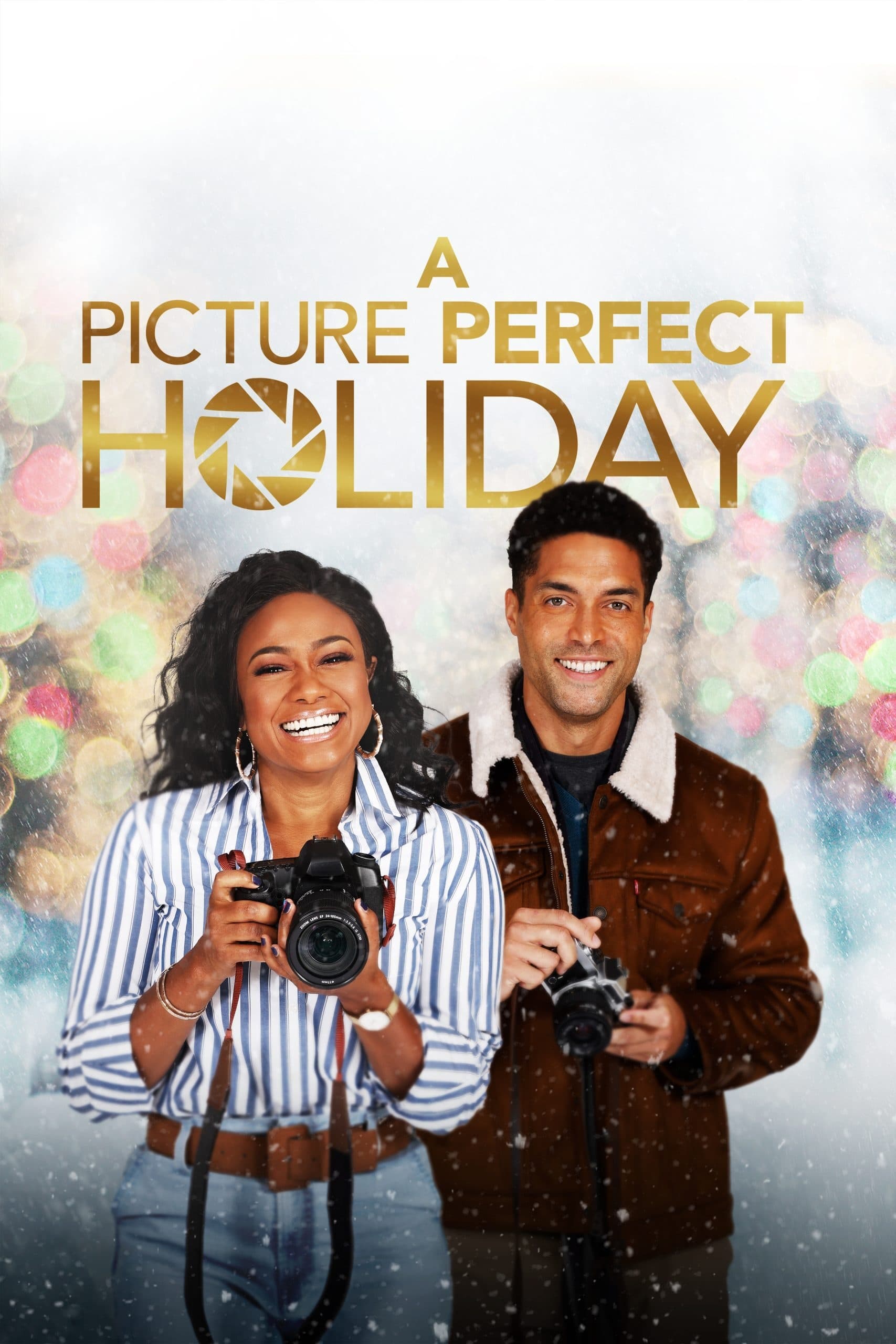 Постер A Picture Perfect Holiday